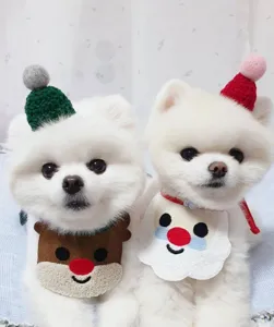 Set bavaglino e cappello di Natale per animali, cani e gatti, festivo dettaglio.