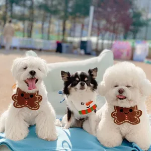 Scena dettagliata di bavaglini natalizi per animali con cani che indossano bavaglini festivi.