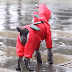Joli imperméable pour animaux de compagnie dinosaure à quatre pattes avec capuche transparente.