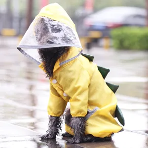 Imperméable dinosaure pour animal de compagnie à quatre pattes avec capuche transparente.