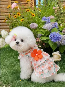 Sommer Blumen Hundekleid für kleine Haustiere süßer Welpe gerüschter Rock mit orange Blume