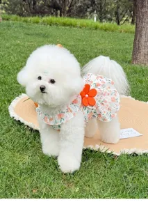 Süßes Blumen Hundekleid Sommer Welpe Prinzessin Rüschen Rock für kleine Hunde Bekleidung