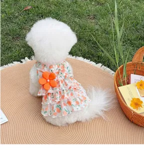 Schönes Blumen-Haustierkleid Detail, leichtes Sommer Prinzessin Rüschen Design für kleine Hunde.