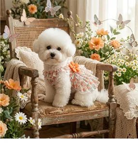 Süßes florales Hundekleid mit Rüschenrock und orangefarbener Blüte, ideal für kleine Haustiere.