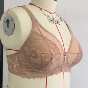 Beige lace sheer unlined bra detail view showing delicate floral embroidery and cup structure.