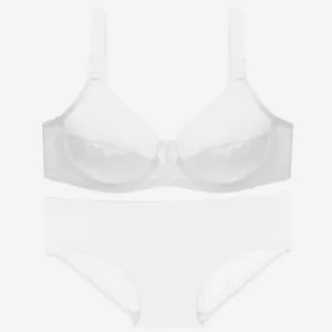 Detailed view of smooth plus size bra and panty set, ultra thin sexy breathable underwear.