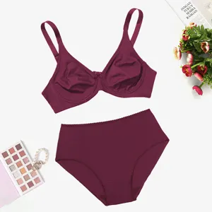 Elegant plus size smooth bra and panties set in wine red comfortable underwire lingerie.