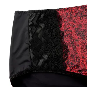 Close-up view of women lace mid-waist panties, exquisite red floral and black chevron mesh.