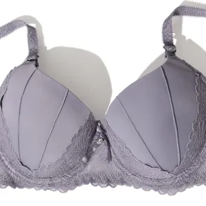 Gedetailleerd overzicht van de lila kanten beha met gedeelde cups en een klein strikje.