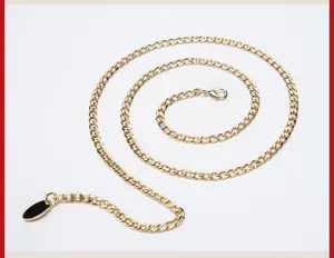 Gedetailleerd overzicht van de stijlvolle gouden metalen ketting taille riem.