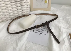 Close-up detail of a minimalist dark brown thin women belt with gold square metal buckle.