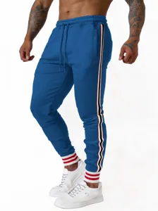 Gedetailleerd overzicht van herenjoggingbroek met zijstrepen en elastische boorden.