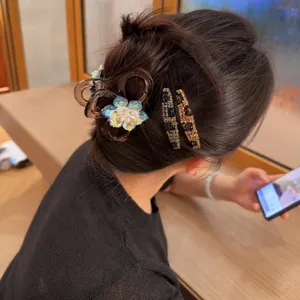 Stupenda molletta per capelli coreana con strass colorati, elegante pinza a granchio in cristallo.