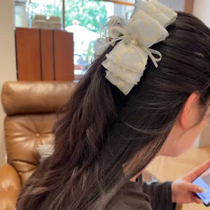 Hellblaue Pünktchen Netz Haarklammer mit bestickter Schleife für Damen Haarschmuck Detail