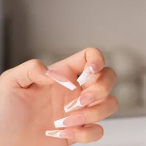 Cheiropoiita Technita Nychia Gallika Nude Gradient Aytomata Nychia 3D Anthika Chrysi Fyllda Nail Art Akrilika Akra Nychia gia Gynaikes