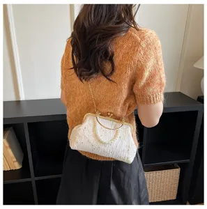 Elegant vintage evening bag with floral lace embroidery, pearl handle and chain strap for women.