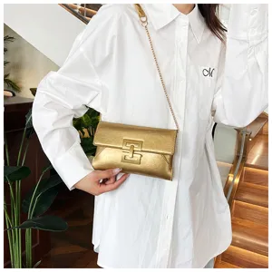 Stylish metallic chain cross-body bag for women, minimalist design with elegant clasp detail.