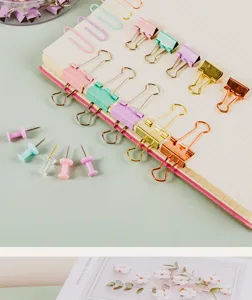 Multifunctional colorful stationery set with binder clips, paper clips and push pins for office.