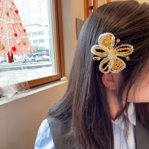 Détail pince à cheveux papillon en perles de cristal, accessoire latéral élégant et chic.