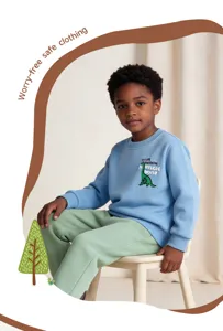 Boys long sleeve crewneck sweatshirt and casual pants set featuring a cute dinosaur graphic print.