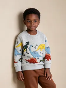 Kinderen Cartoon Dinosaurus Gedrukt Katoen Sweatshirt Westerse Stijl Ronde Hals Lange Mouwen Pullover Zacht Top Voor Kinderen