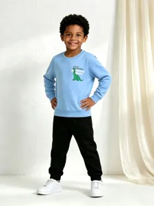 Boys blue crewneck sweatshirt featuring a cute dinosaur print, comfortable cotton daily wear.