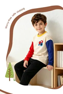 Camiseta de manga larga para niños con bordado de coche y diseño color block de otoño.