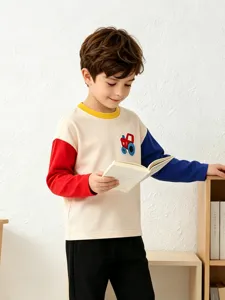 Camiseta de manga larga colorblock para niños con bordado de coche para el otoño.