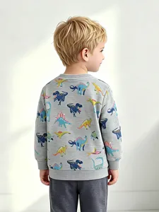 Kinder graues Dinosaurier Sweatshirt Baumwolle Rundhals Langarmshirt fuer Jungen Hauptansicht