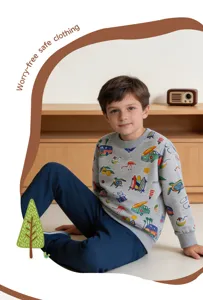 Niedliches Kinder Sweatshirt in Grau mit verspieltem Auto-Print und langen Ärmeln.