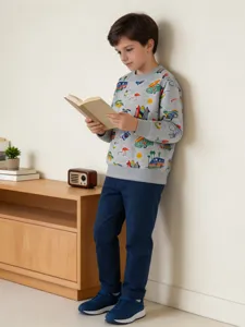 Jungen Herbst Langarm Rundhals Sweatshirt mit niedlichem Auto und Flamingo Print fur Kinder.