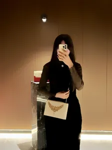 Luxuriöse Abendtasche mit Kristallflügel-Dekor, eleganter Kette und weißem Leder.