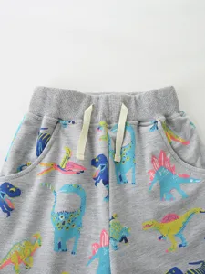 Boys cotton shorts featuring colorful cartoon dinosaur print, elastic waistband with drawstrings.
