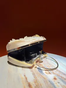 Elegant Chinese style evening clutch bag with pearl lace and gold frame details for ladies.