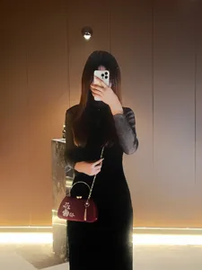 Borsa a mano retrò con nappe borsa da sera neo-cinese elegante pochette qipao borsa.