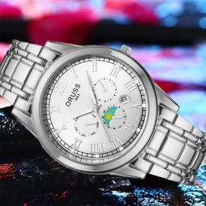 Detailed close-up view of men's steel quartz watch featuring a silver dial and Roman numerals.
