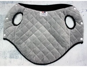 Detailed close-up view of quilted pet vest, warm winter dog cotton coat with snap buttons.