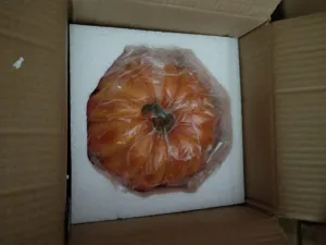 Resin pumpkin craft detail view, simulation Halloween home decor item inside secure box.