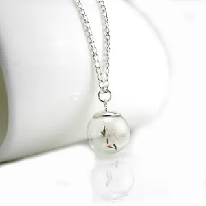 Silver chain necklace with clear glass ball pendant containing plant seed element for women