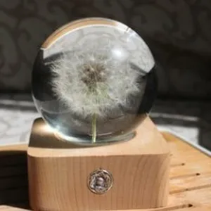 Luce notturna sfera di vetro tarassaco naturale con base in legno stile foresta