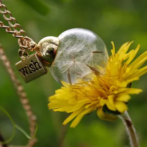 Natural real dandelion glass ball necklace forest style wishing bottle pendant jewelry with tag