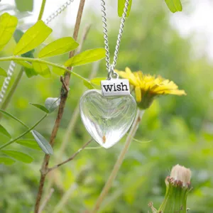 Collana con ciondolo a cuore in vetro con semi di soffione e etichetta wish, stile natura.