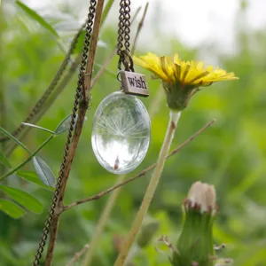 Natural dandelion dried flower glass ball necklace forest style wishing bottle pendant