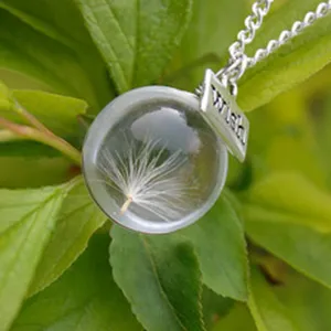 Detailed view of clear glass globe dandelion seed pendant necklace with wish tag in nature.