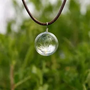 Close-up view of the clear glass sphere pendant featuring delicate dried dandelion seeds.