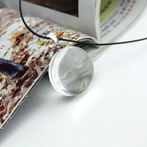 Exquisite glass ball dandelion necklace with natural dried flower seeds for women daily wear.