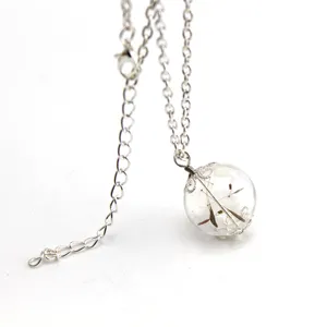 Close-up view of the glass globe pendant featuring natural dandelion seeds and silver chain.