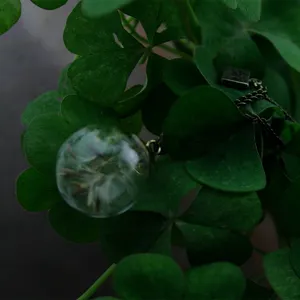 Dandelion glass ball necklace dried flower seed retro bronze sweater chain nature style pendant