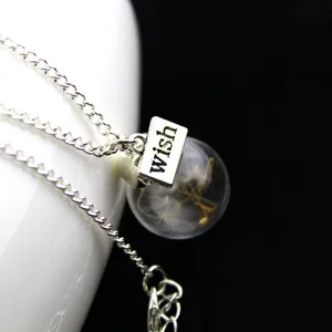 Silver chain necklace featuring a glass globe pendant with real dandelion seeds and a wish charm.