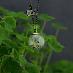 Dandelion seed glass globe pendant necklace with wish tag in vintage bronze chain style.